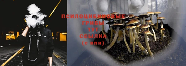 спиды Верея