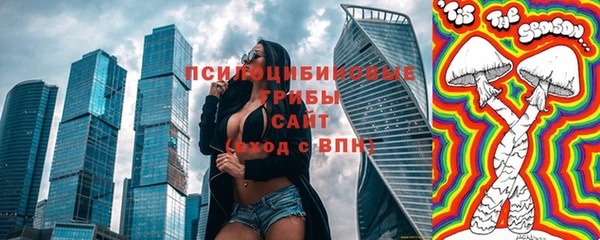 спиды Верея