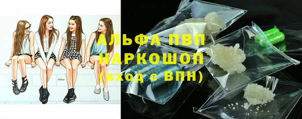 спиды Верея