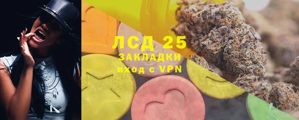 спиды Верея
