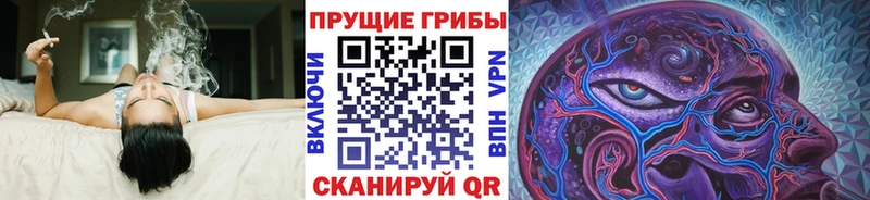 закладки  Братск  Галлюциногенные грибы Magic Shrooms 